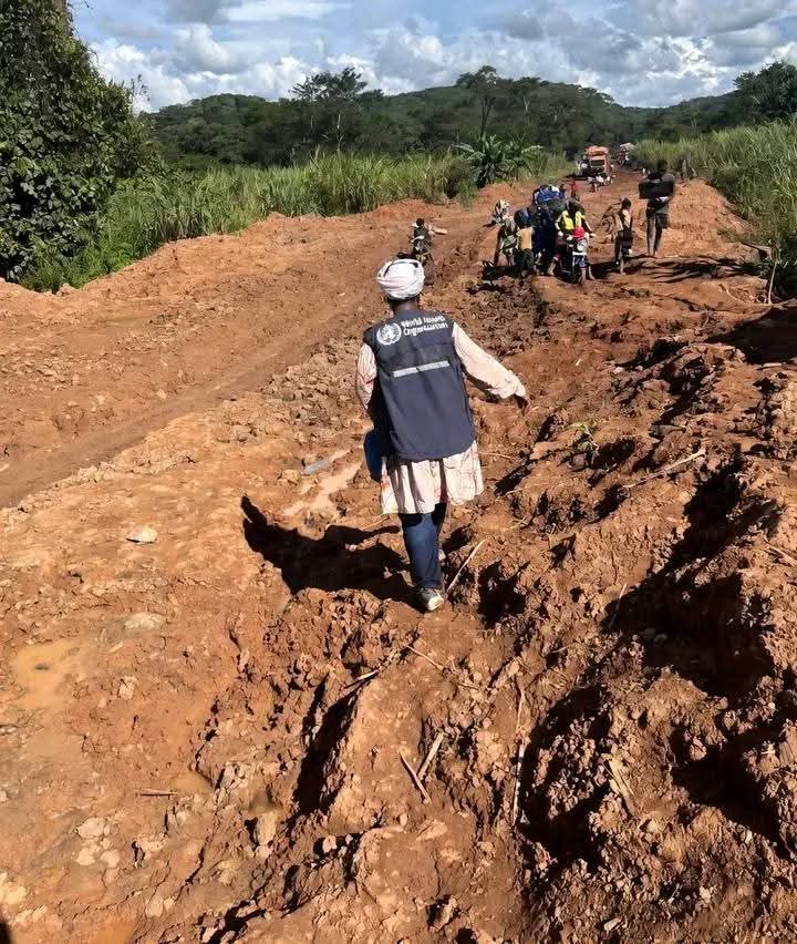 Vuvu Marley tweet media