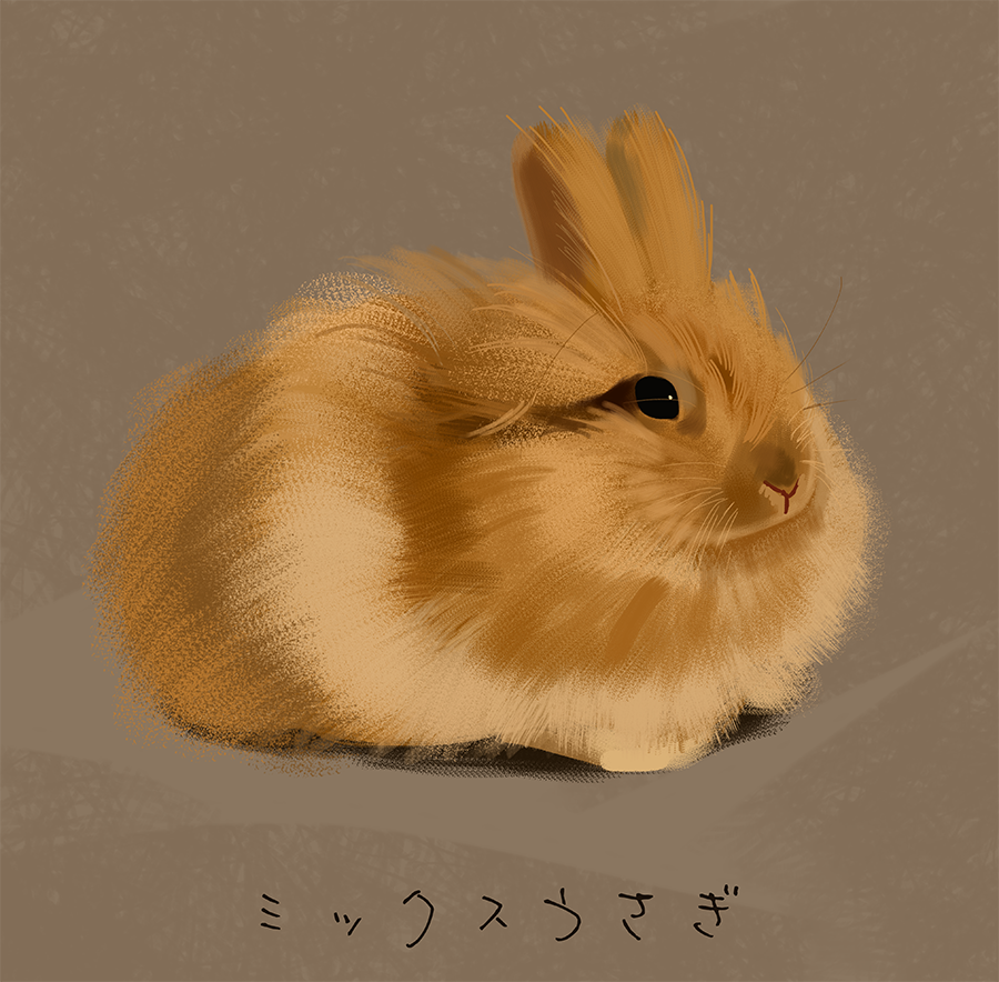 動物農場 tweet media