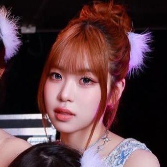 𝑻𝑺𝑼𝒁𝑼𝑴𝑰'𝑺 𝑳𝑰𝑩𝑹𝑨𝑹𝒀 tweet media