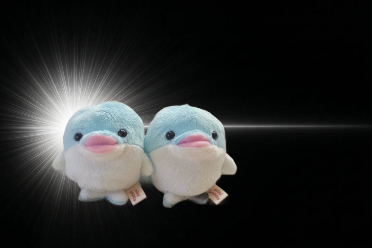 まめぴ tweet media