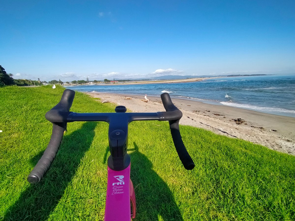 Genevieve Whitson tweet media