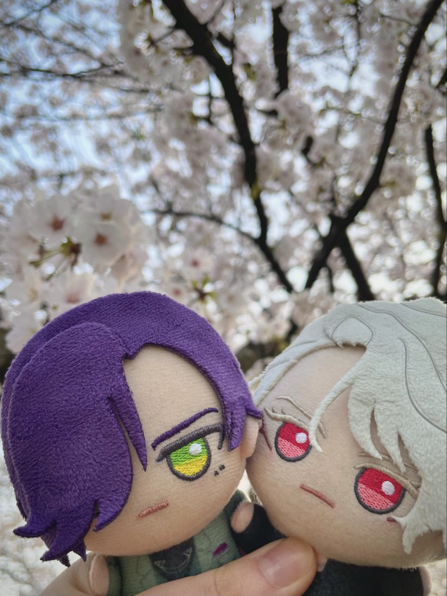 #これをみた人は無言で去年の4月の画像を貼る