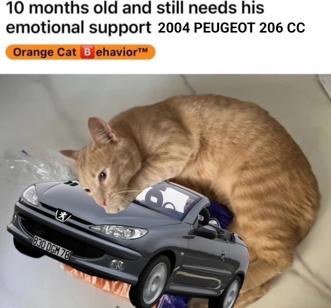 Peugeot 206 Fan tweet media