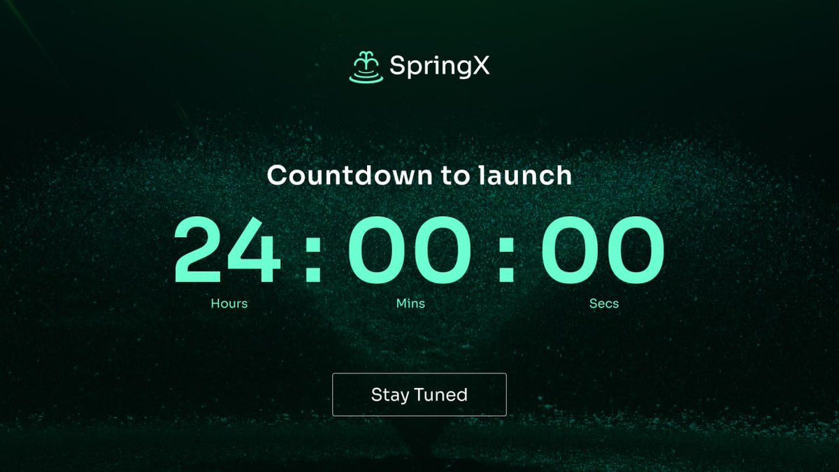 SpringX_Finance's tweet image. ⛲️24h countdown to the SpringX launch!
Amid the somehow pessimistic sentiment owing to the turbulent market, SpringX will proliferate your asset with minimized risk involved!
Stay tuned!
#launch #crypto #earning