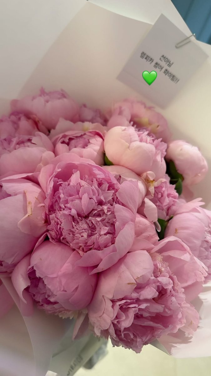 정선아 아카이브 tweet media