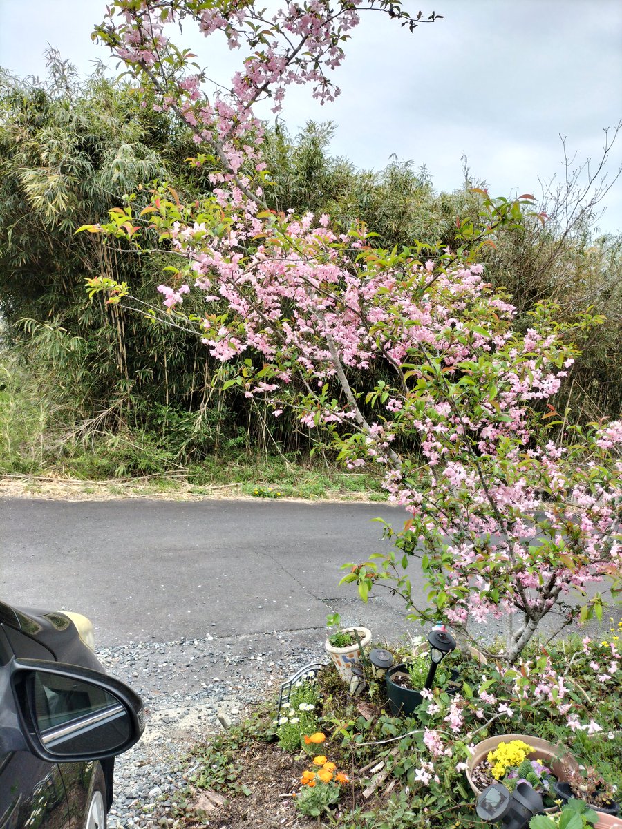 久七No3 tweet media