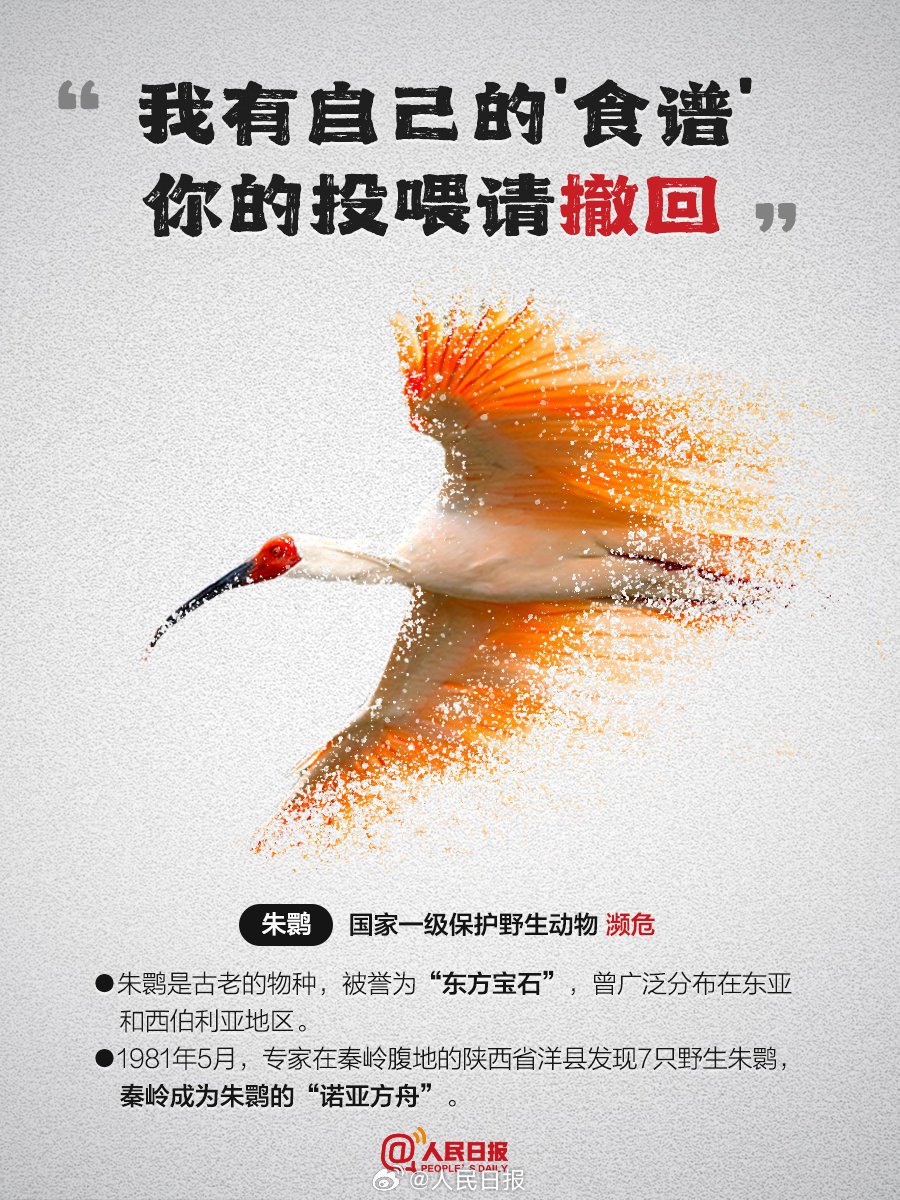 henbaidadeluda1's tweet photo. https://t.co/gBH6iXy5BS