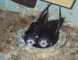 Joanne Smith tweet media