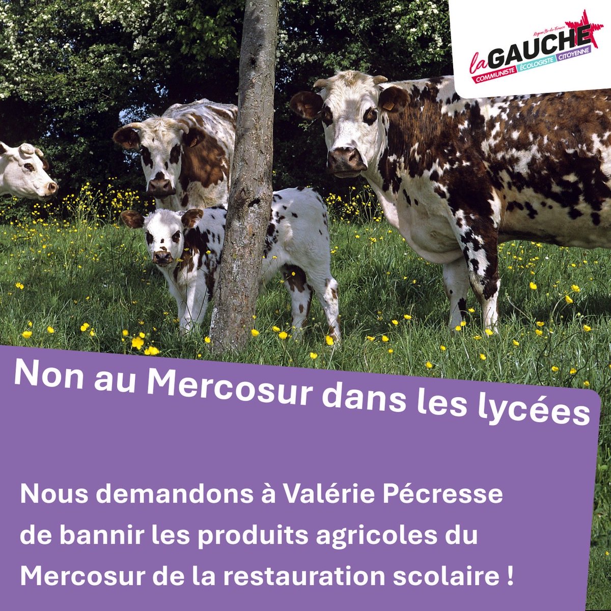 GaucheComIDF's tweet photo. 🍽️ PAS DE MERCOSUR DANS LES LYCÉES ❌

Pour soutenir l’agriculture française, il est possible d’agir davantage

👉 Nous proposons de bannir les produits du Mercosur de la restauration des lycées

+ de 20,5 millions de repas sont servis chaque année dans les lycées franciliens https://t.co/FhRPMED8NR