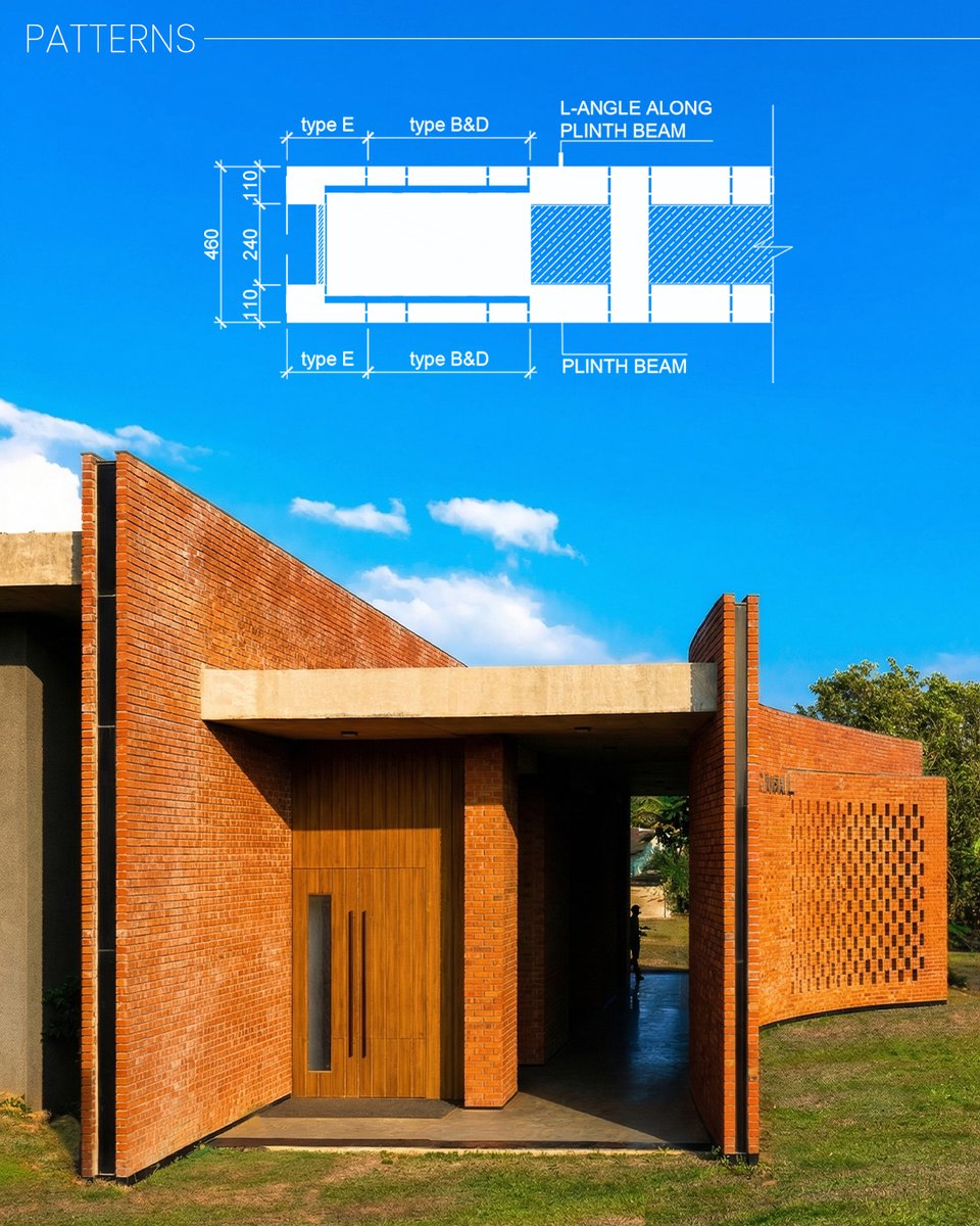 morphogenesis. tweet media