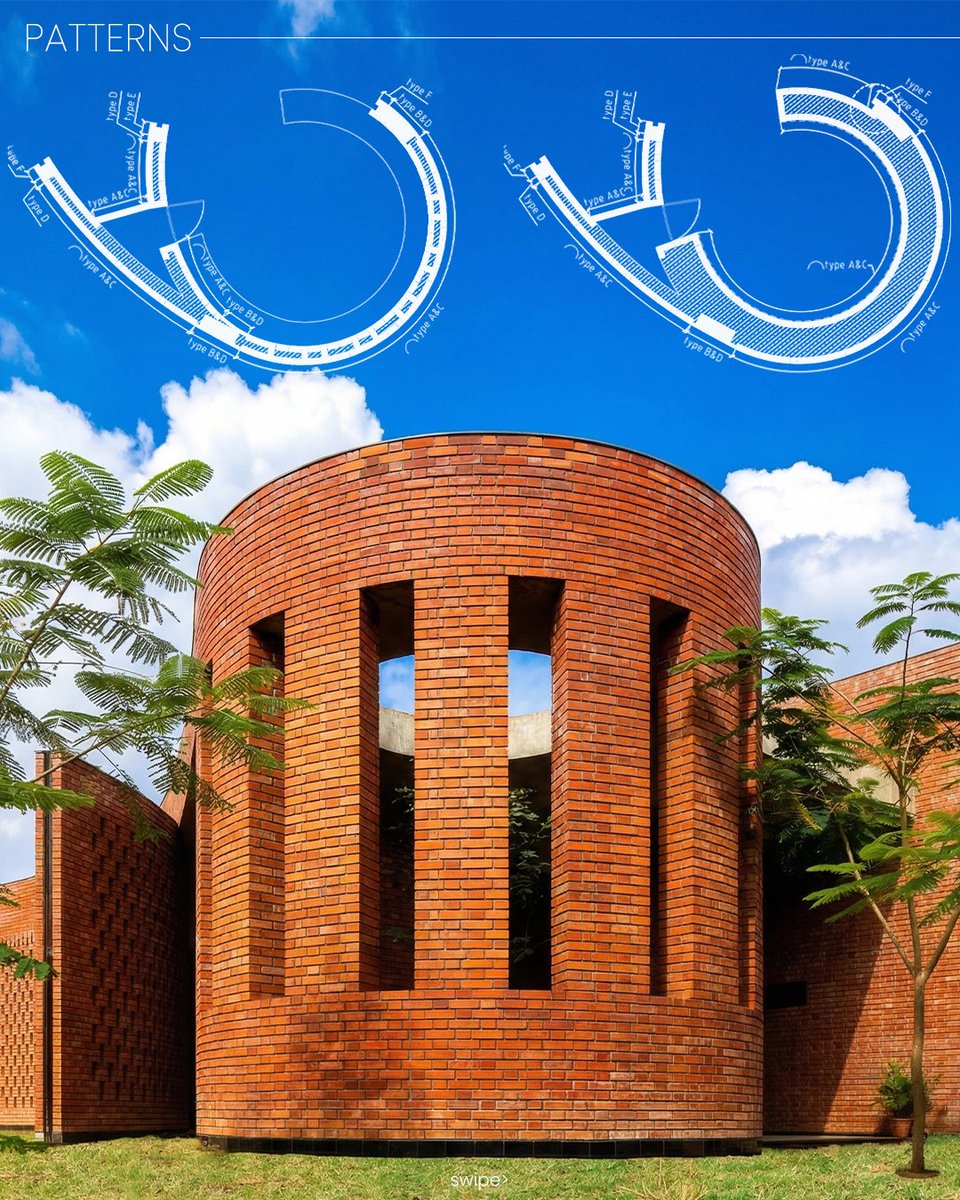 morphogenesis. tweet media