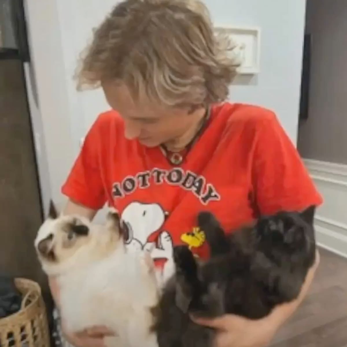 даймонд tweet media