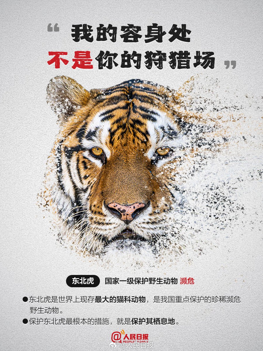 henbaidadeluda1's tweet photo. https://t.co/6lR9C5wNqJ