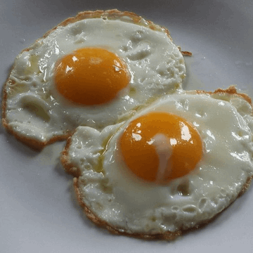Thefishermanm's tweet photo. Alimentos de origem animal são os únicos multivitamínicos criados na natureza: 

• Leite: retinol, cálcio, B2 e B12 
• Bife: ferro, zinco, vitamina B12, creatina, B3, B6, carnosina 
• Ovos: biotina, colina, B12, selênio, luteína e zeaxantina 
• Ostras: zinco, selênio, cobre, B12, ferro • Manteiga: retinol, vitamina K2, butirato, ácido linoleico conjugado (CLA) 
• Fígado bovino: retinol, cobre, ferro, vitaminas do complexo B (B12, B2, B6, folato), colina 
• Bordo bovino: selênio, vitaminas do complexo B (B12, B2, B6), ferro, fósforo, zinco 
• Coração bovino: taurina, coenzima Q10 (CoQ10), vB12, zinco, selênio, fósforo 
• Sal: vitamina D, selênio, vitaminas do complexo B (B12, B6, niacina), potássio. 

Esses são os melhores suplementos.