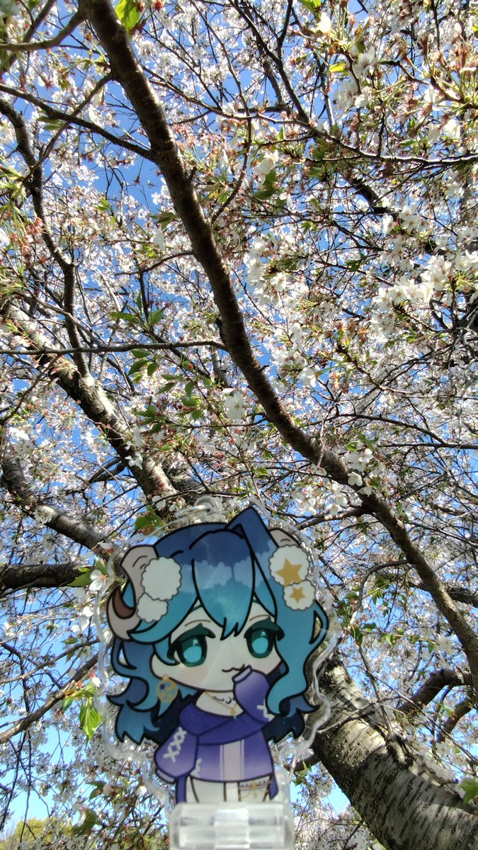 リトルデーモンゼロ＠推しが尊い tweet media