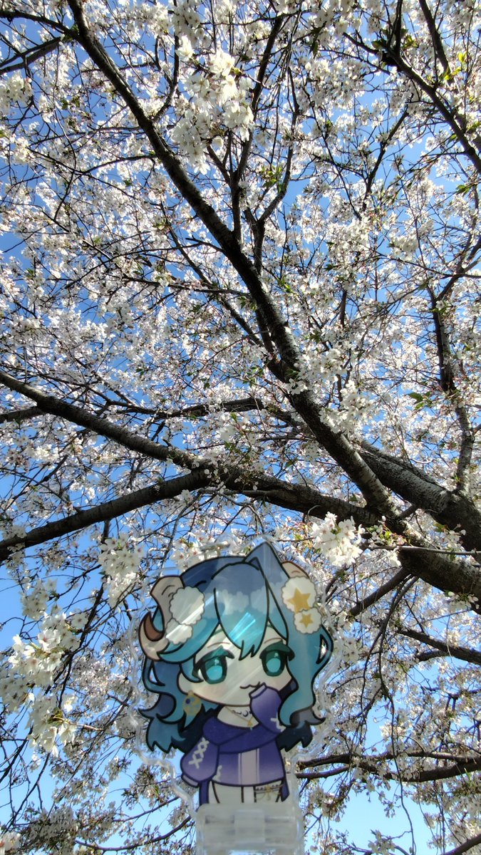 リトルデーモンゼロ＠推しが尊い tweet media