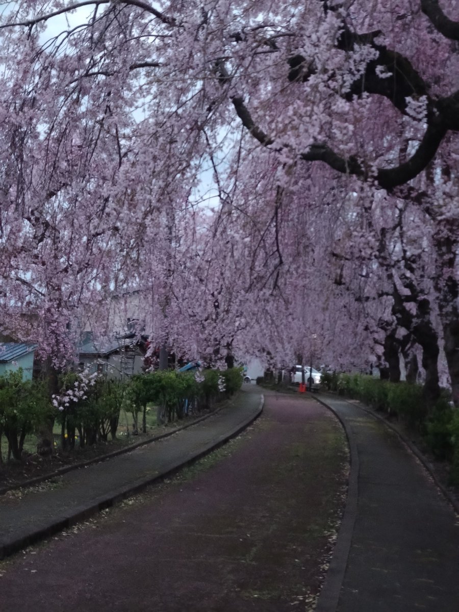 富樫 堅自@AAHM,FI tweet media