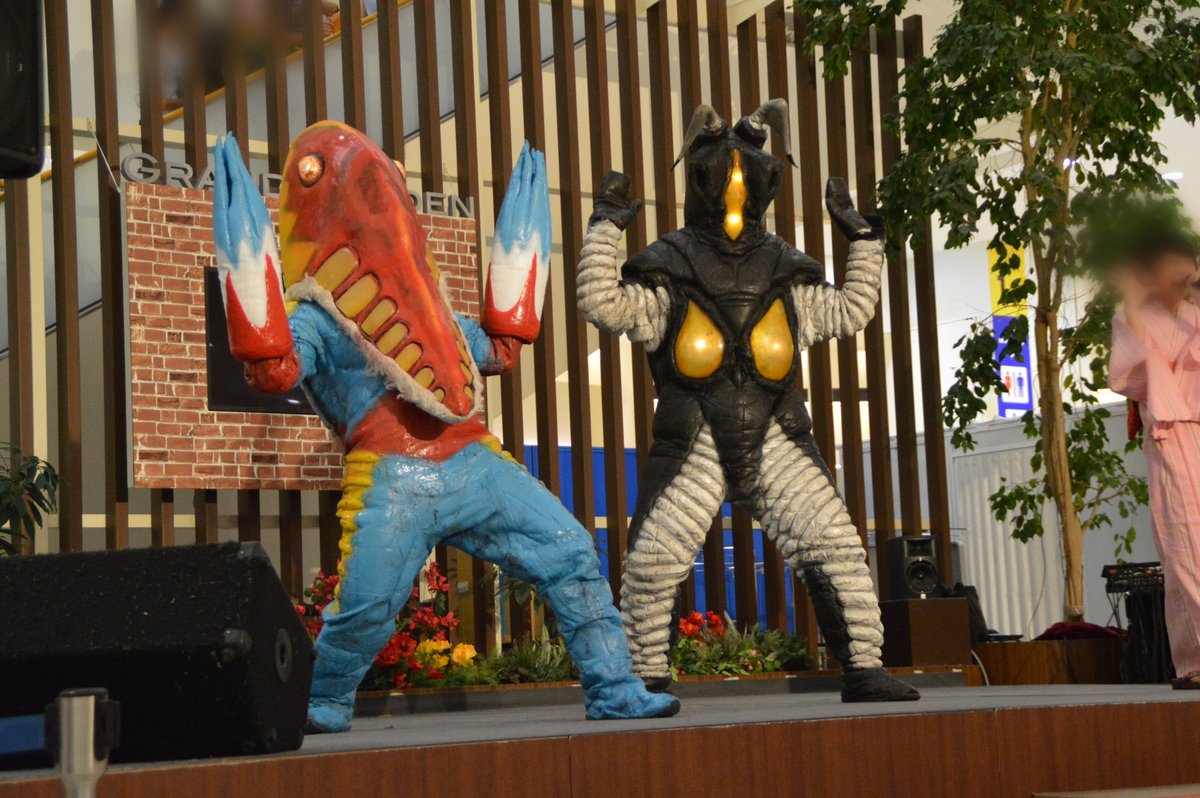 つくし tweet media