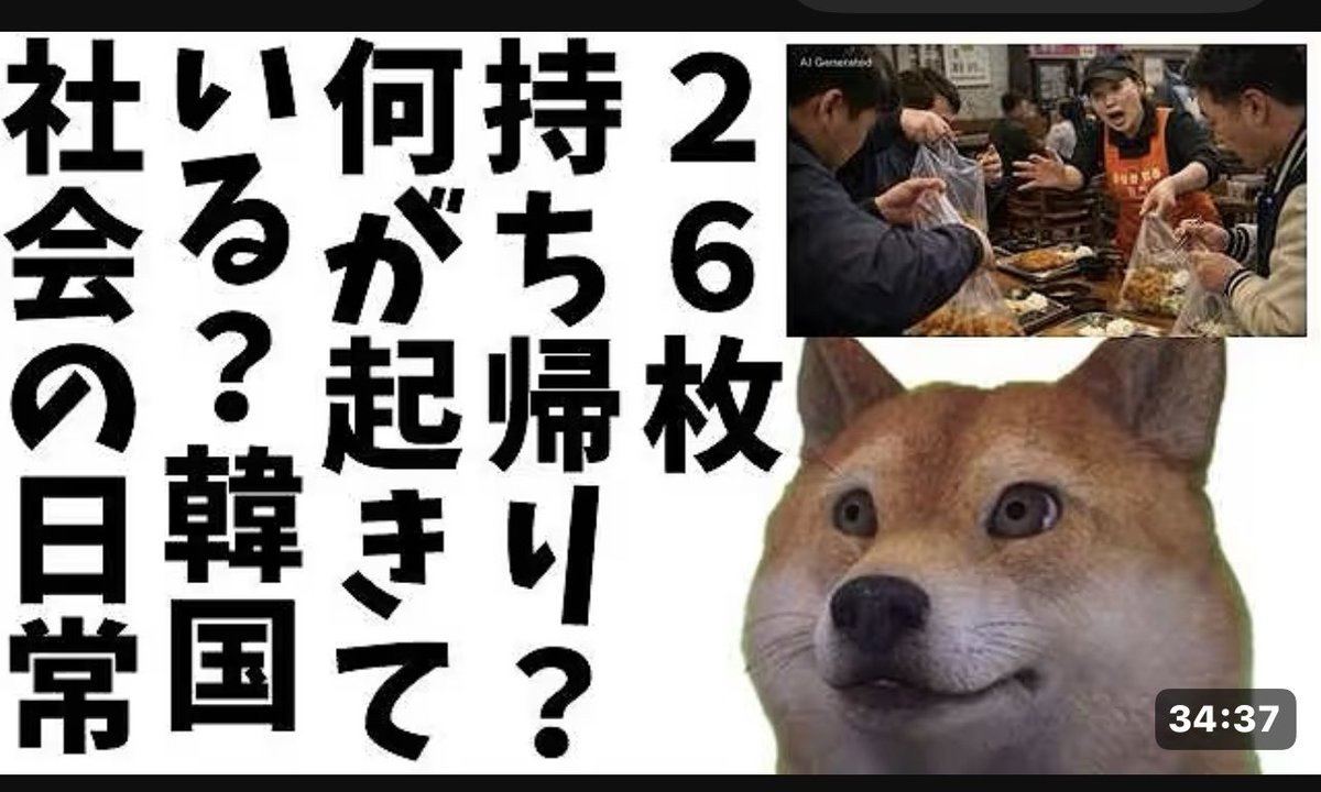 山脇道子(michi)🇯🇵🐕🎸☮️ tweet media