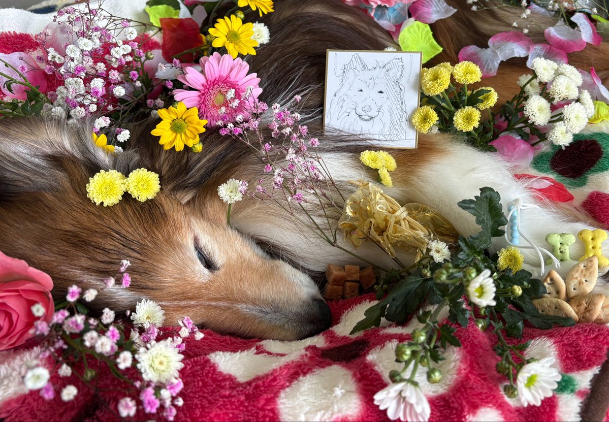 坂上シュウ Syu Sakagami 絵仕事募集中 tweet media