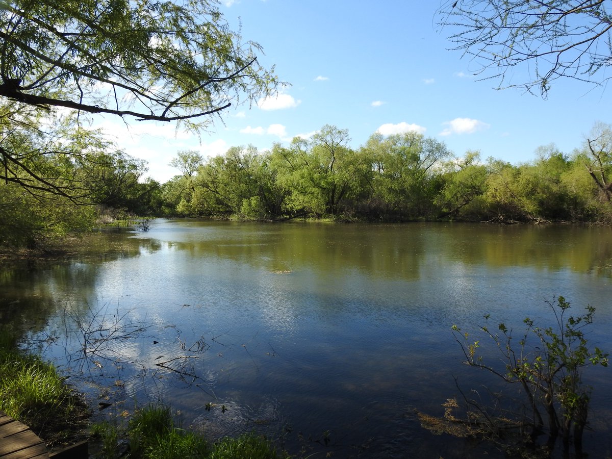 Huginn767's tweet image. Thursday Trails….. 
#Trail
Not all trails are on land, this is one of my favorite kayak trails.