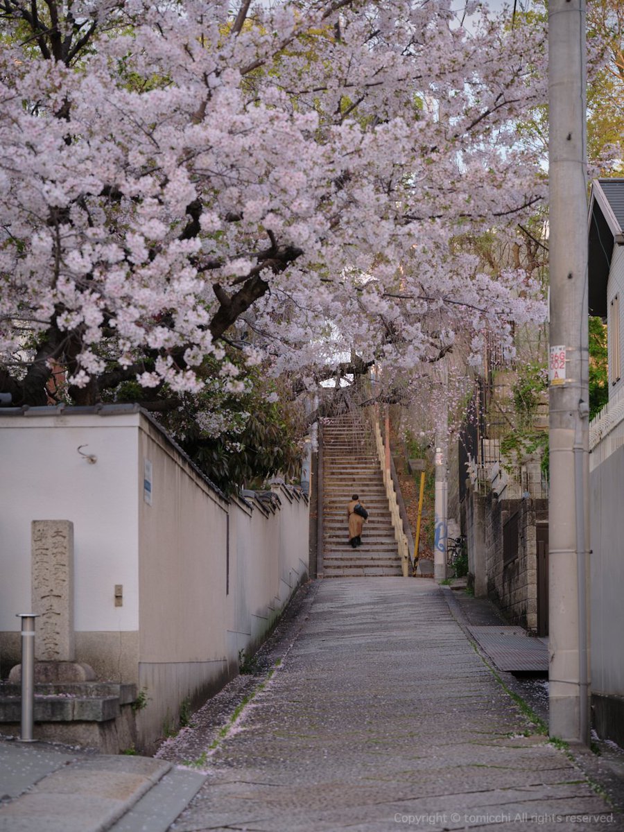 tomicchi1293's tweet image. FUJIFILM GFX100SII GF45-100mm F4
#Osaka #夕陽丘