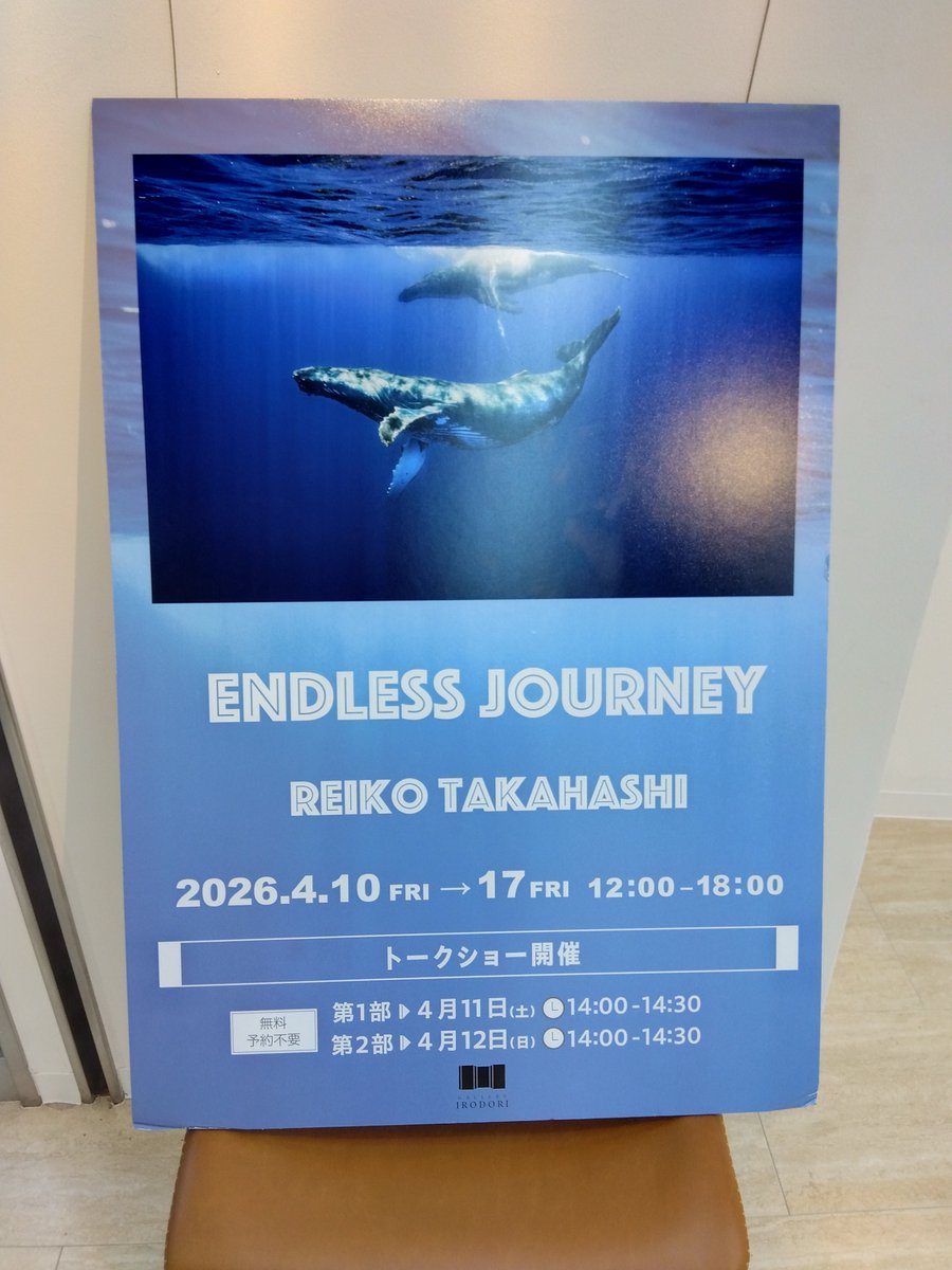 noboru_p1948's tweet image. 弊社中央営業所のあるギャラリーイロドリでは明日から水中カメラマン高橋怜子さんの写真展が開催されます。本日搬入も無事完了しました！
11(土)、12(日)は14時〜トークショウも開催されます！無料予約不要ですので是非お越しくださいませ✨️
#GALLERY IRODORI
#高橋怜子