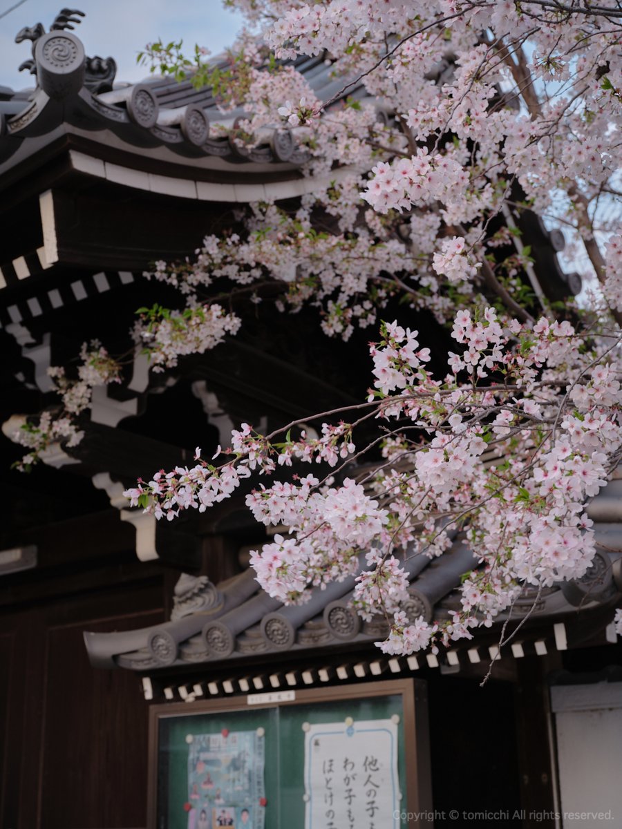 tomicchi1293's tweet image. FUJIFILM GFX100SII GF45-100mm F4
#Osaka #夕陽丘