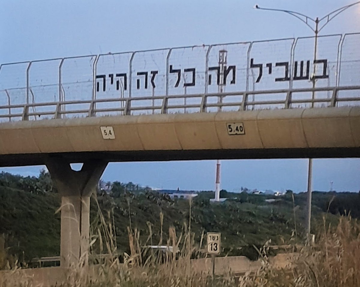 Ami Dror 🇮🇱 עמי דרור tweet media