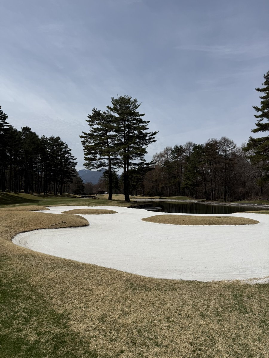 かず🐺⛳️🏕🏂 tweet media