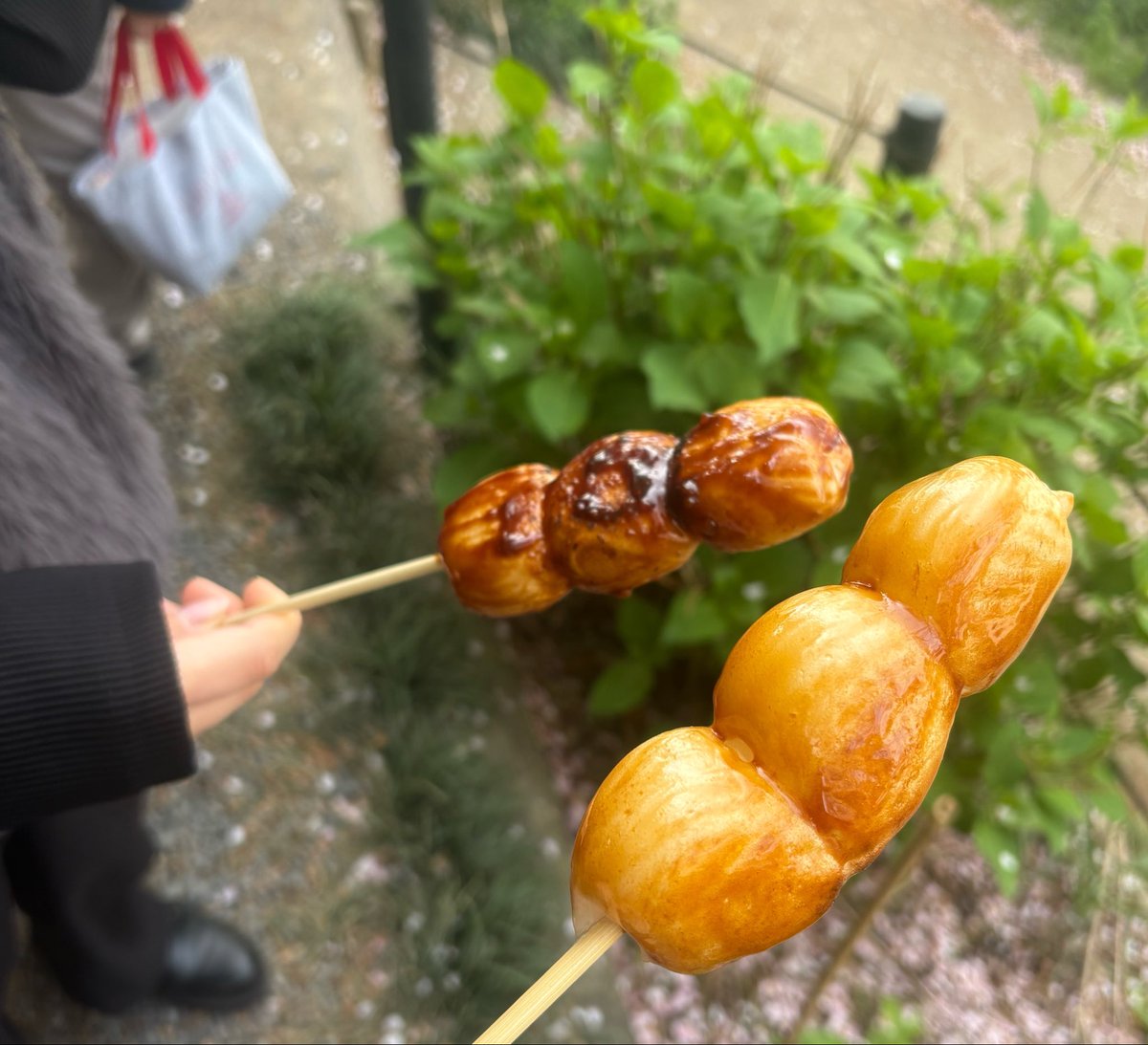 阿 音 (あのん) tweet media