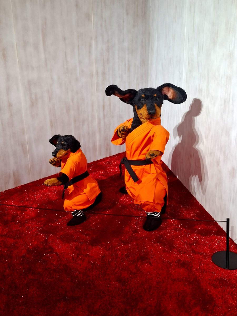 Kersies's tweet photo. @MarkRPellegrino I went to the opening of the Tamburin pop up store. I found these guys there. How cute are they! I know it doesn't replace your boy but I hope it gives you a smile. Big hugs 🤗 https://t.co/hLZ9vcFhK6