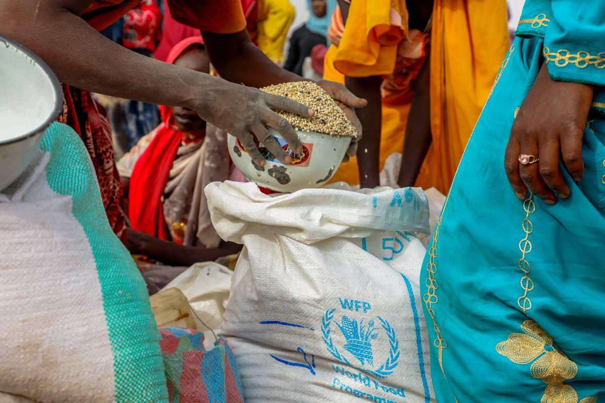 WFP_Chad tweet media