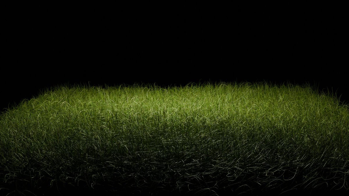 Prachi Sethi tweet media