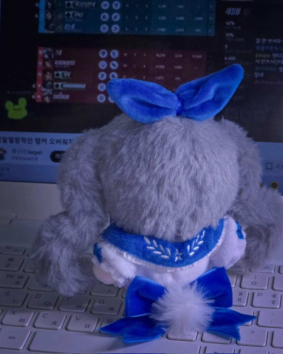 파치 tweet media