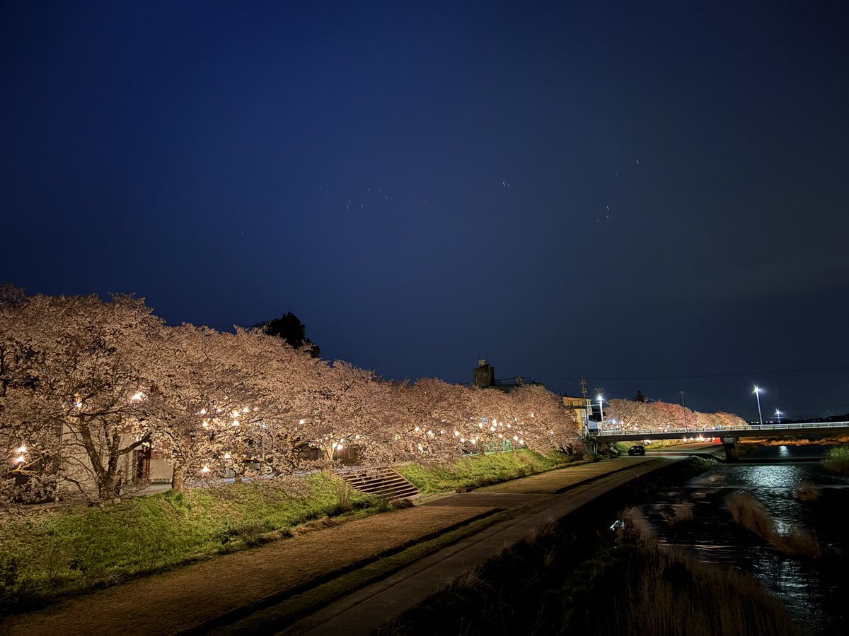 kitokitodara's tweet photo. 毎年癒されに訪れる、南砺市小矢部川の桜🌸
散り際がはかない…今日で見納めかな😌 https://t.co/aFHND3KDlv