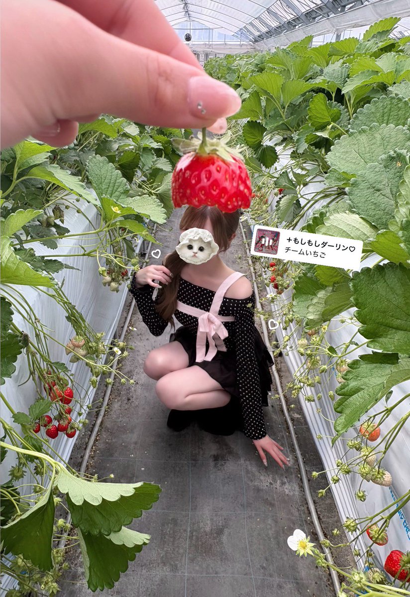 たよ© tweet media