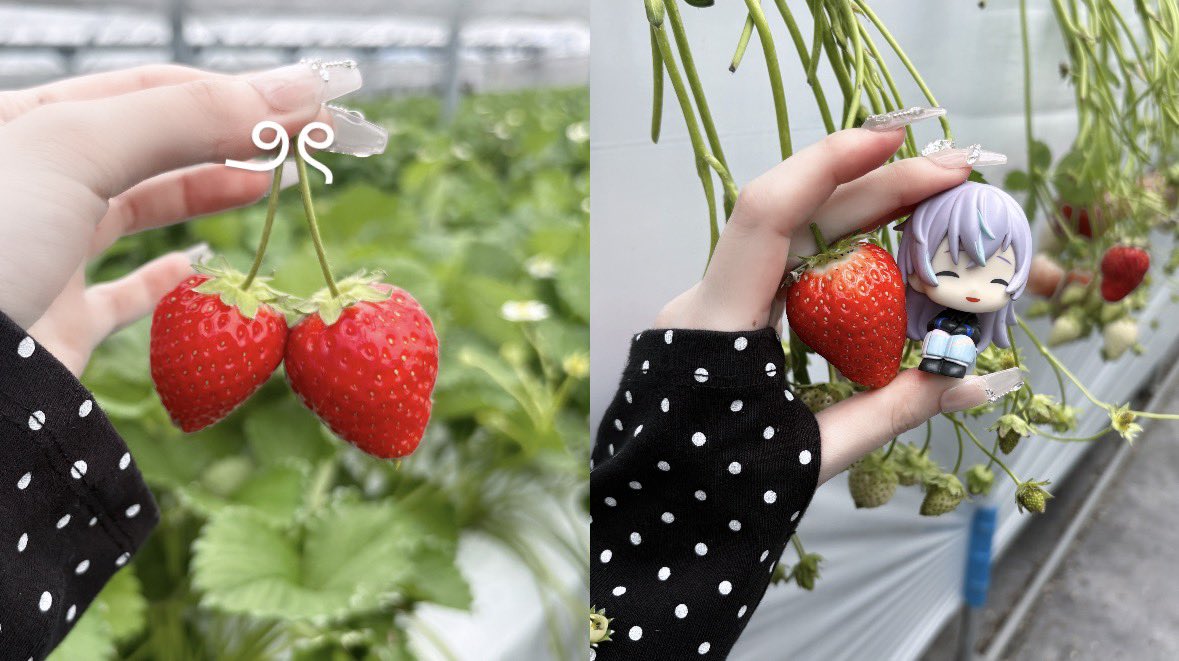 たよ© tweet media