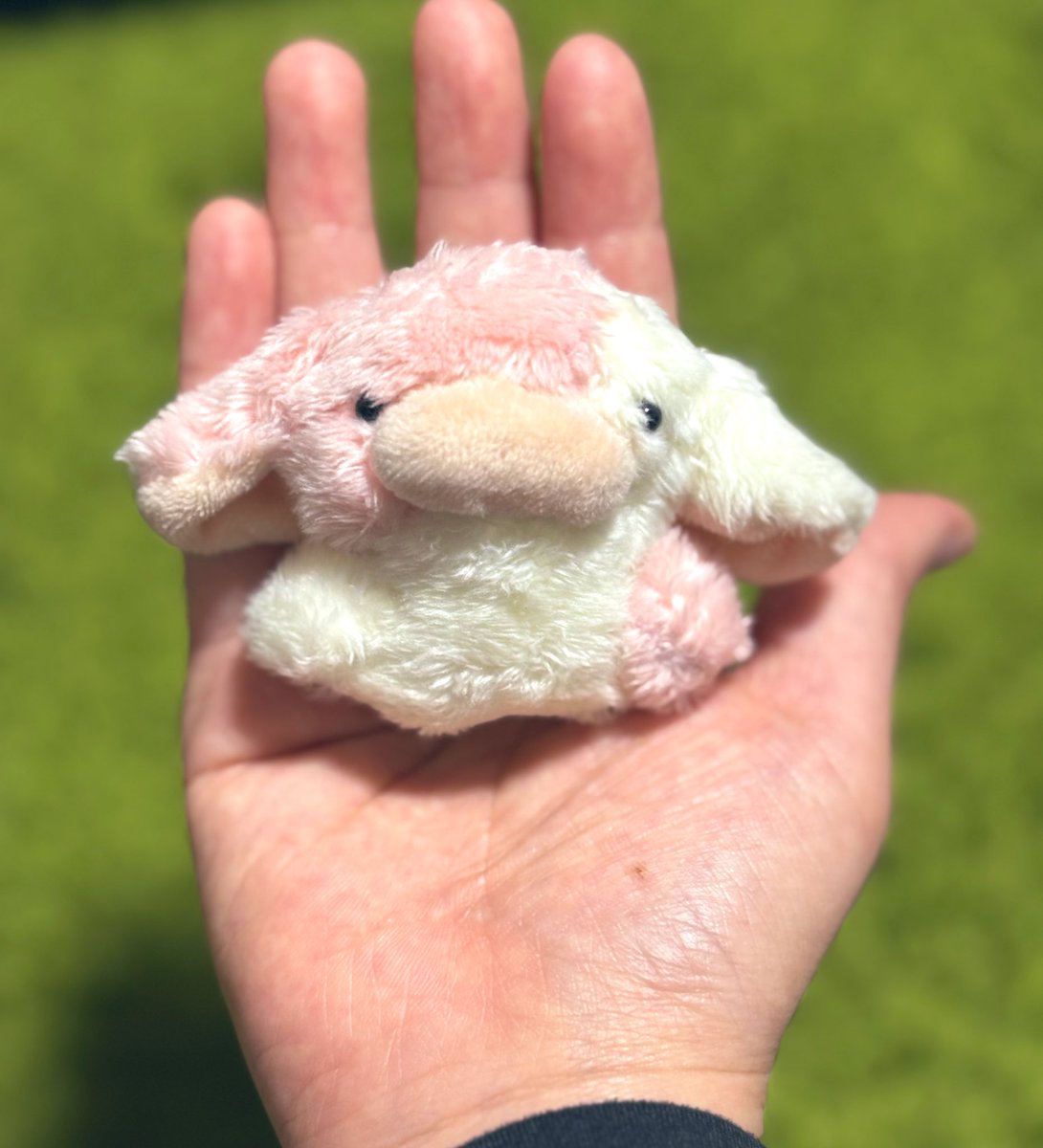 ぽこぷ tweet media