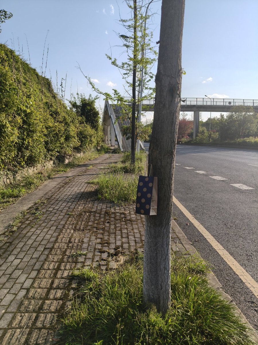 0851贵阳平常心 tweet media