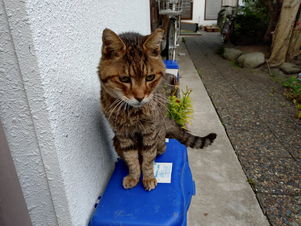 FU-JINa.k.aDJ KAWORU tweet media