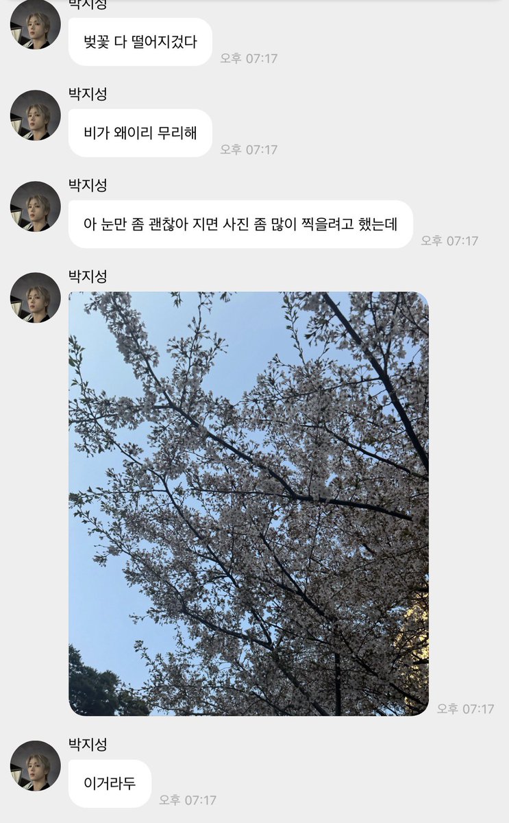 지킁｡｡ tweet media