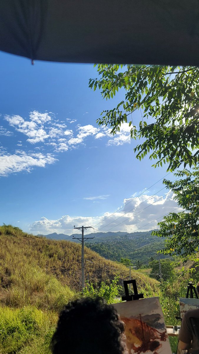 Pickled cucumber tweet media