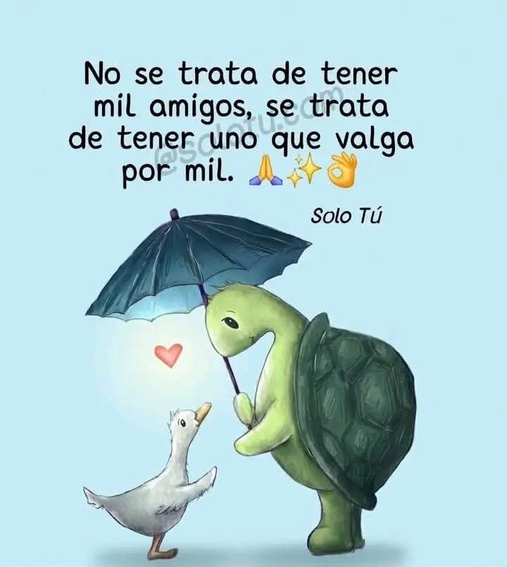 VidaEquilibrada tweet media