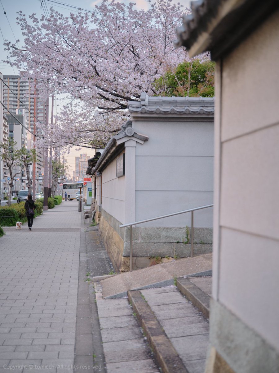 tomicchi1293's tweet image. FUJIFILM GFX100SII GF45-100mm F4
#Osaka #夕陽丘