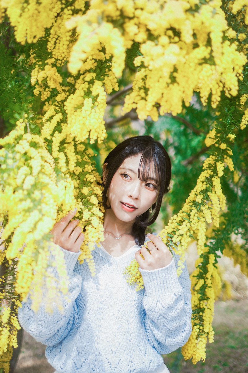 kulukulu_tori's tweet image. 今年はミモザたくさん撮れて幸です🌼

#mimosa
#ポートレート