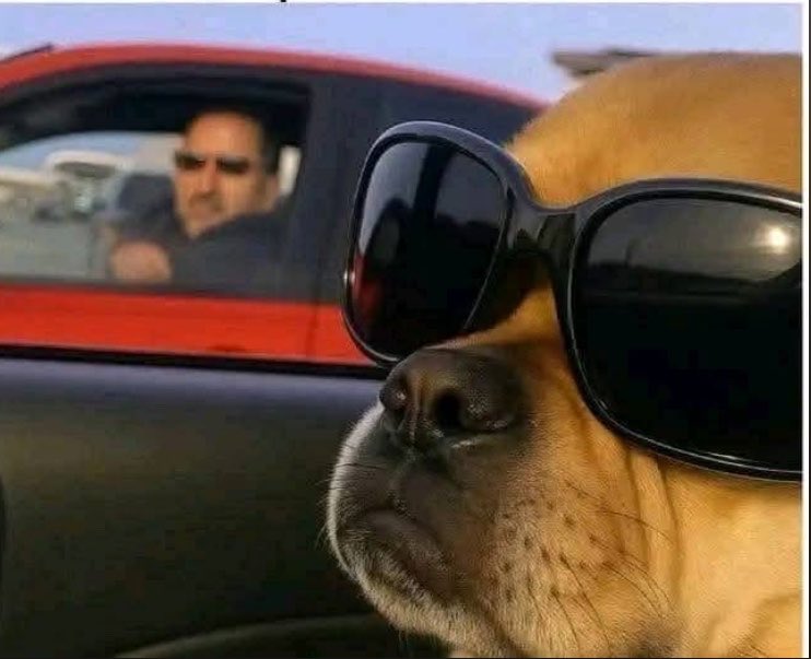 Me pretending not to see my boss after I told him that am hospitalized.