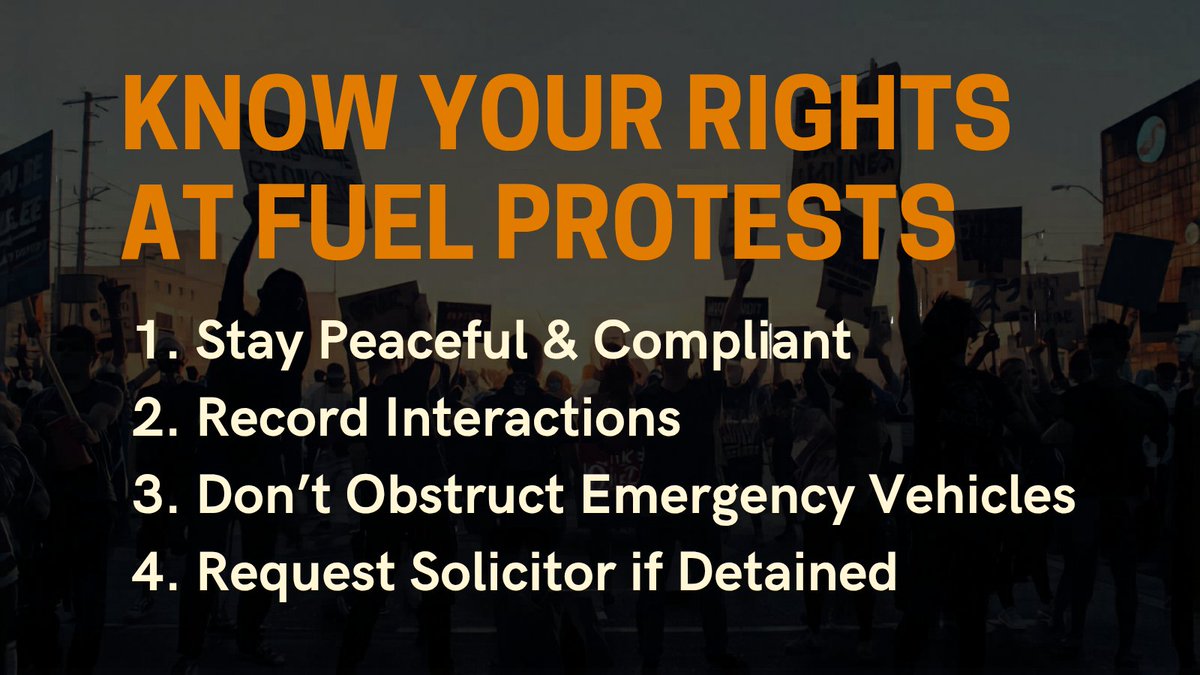 Senator Sharon Keogan tweet media