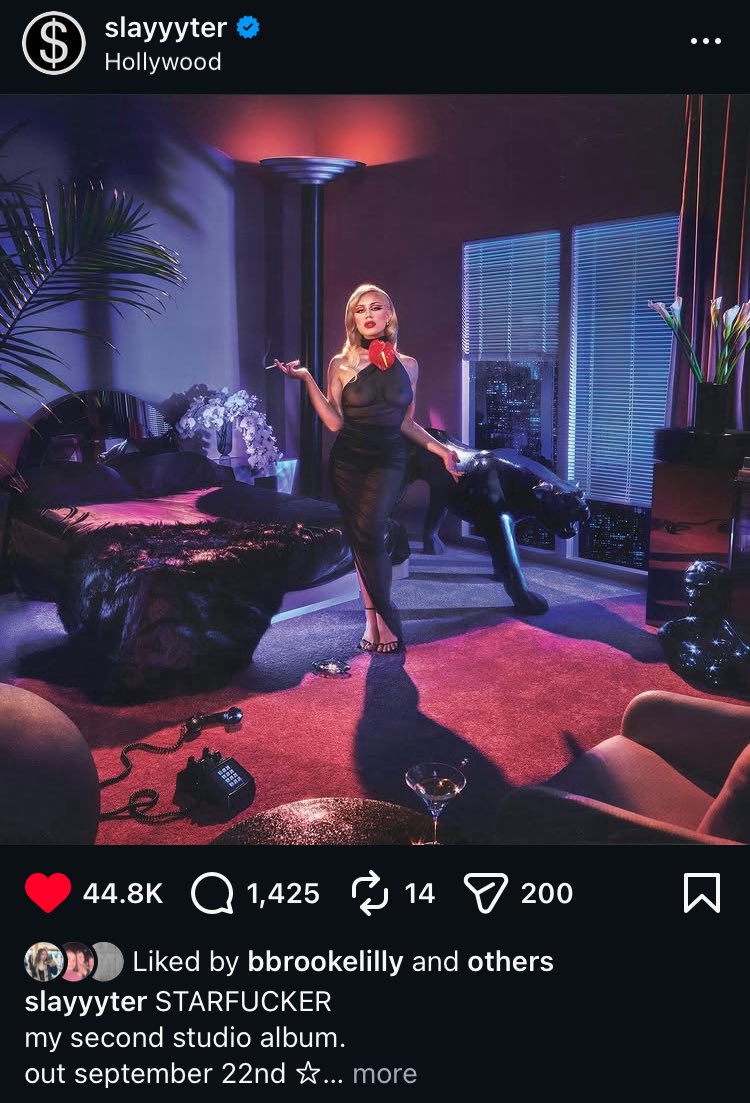 The concept of a video of cats listening to I’m actually kinda famous getting more likes than the starfucker announcement post…