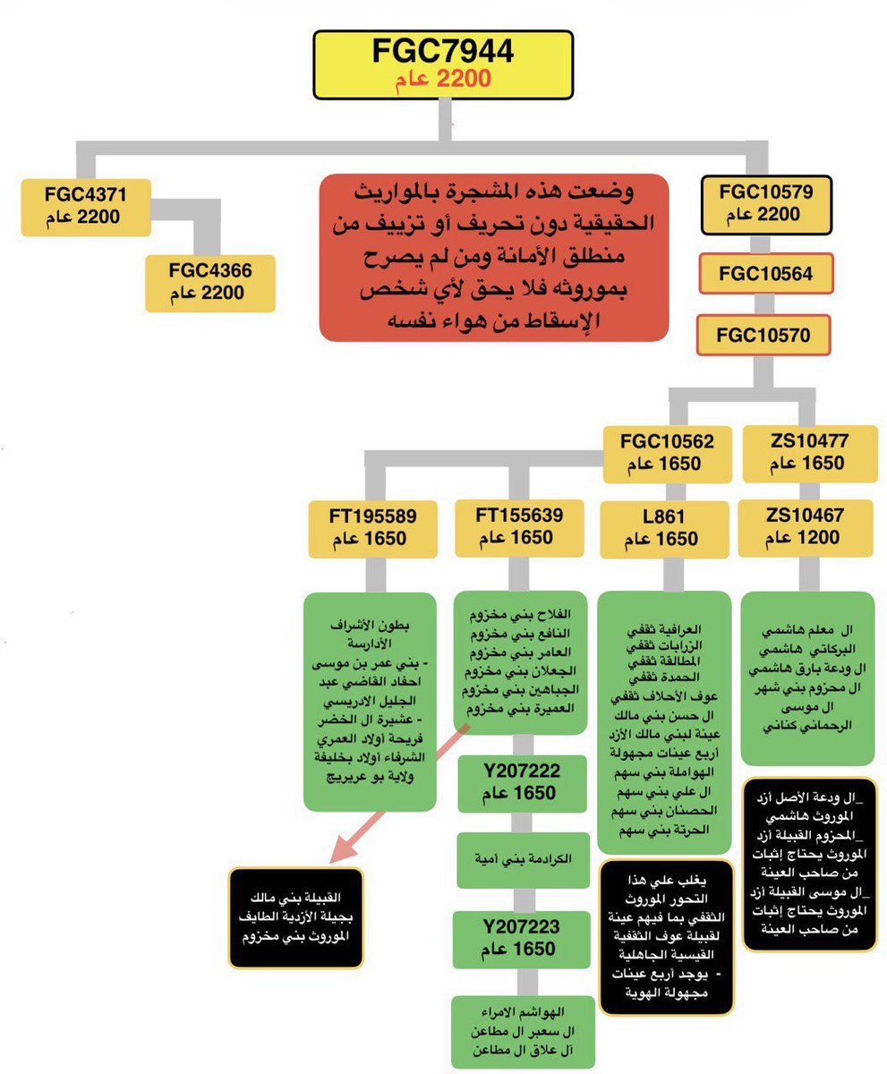 37eib's tweet photo. تحديث 
ظهور خط جديد لعينة من قبيلة سنحان من اليمن على التحور #fgc10562 زاد الامور تعقيدا .
#fgc7944
#fgc7
#fgc5
#by2
#fgc2 https://t.co/F9lD1ebcXB